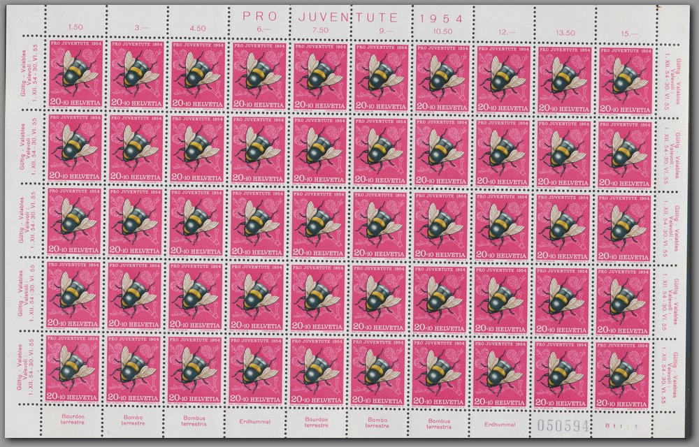 PJ1954 20 - F0000X0000